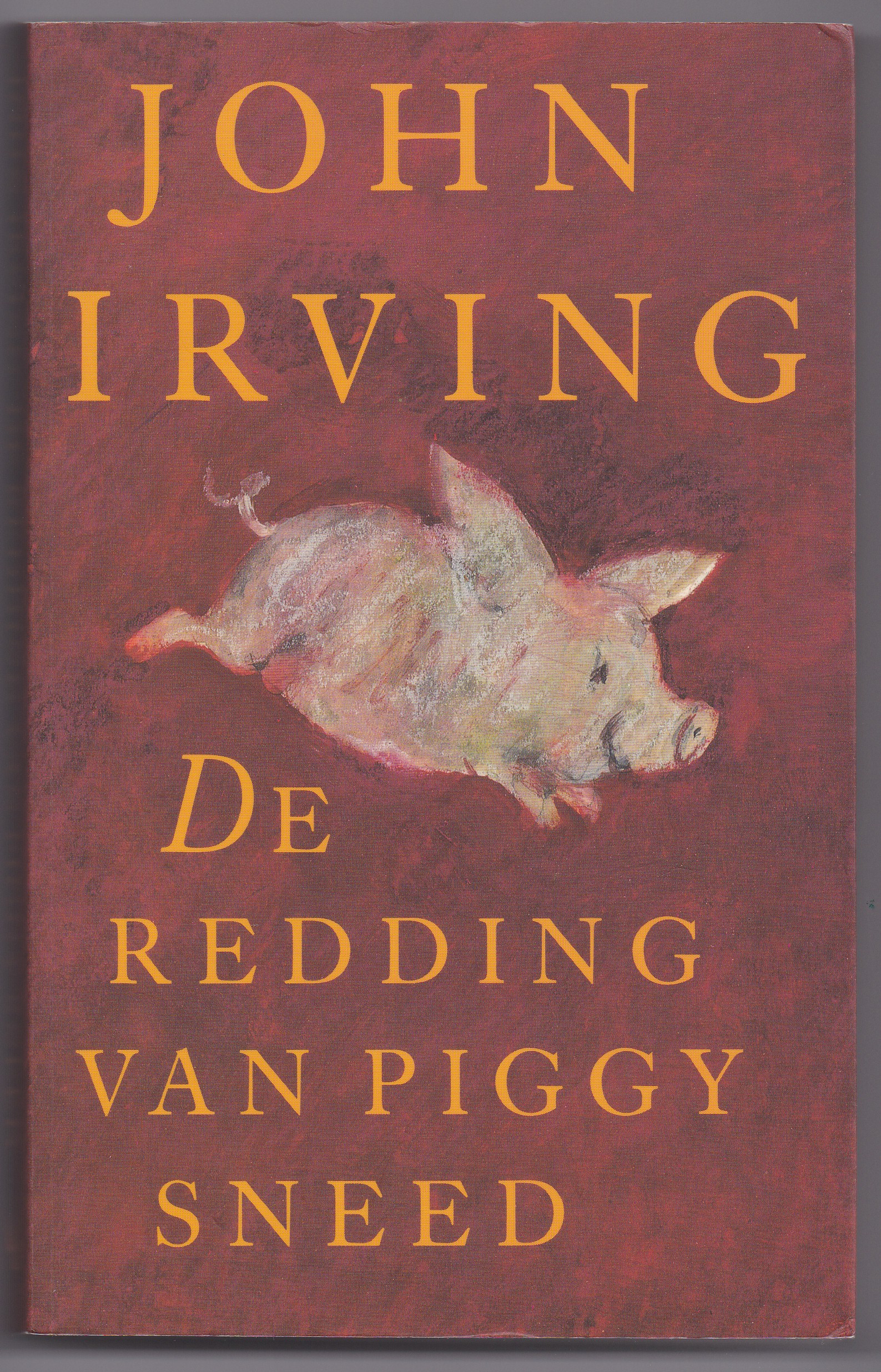 Irving, John - De redding van Piggy Sneed. Verhalen