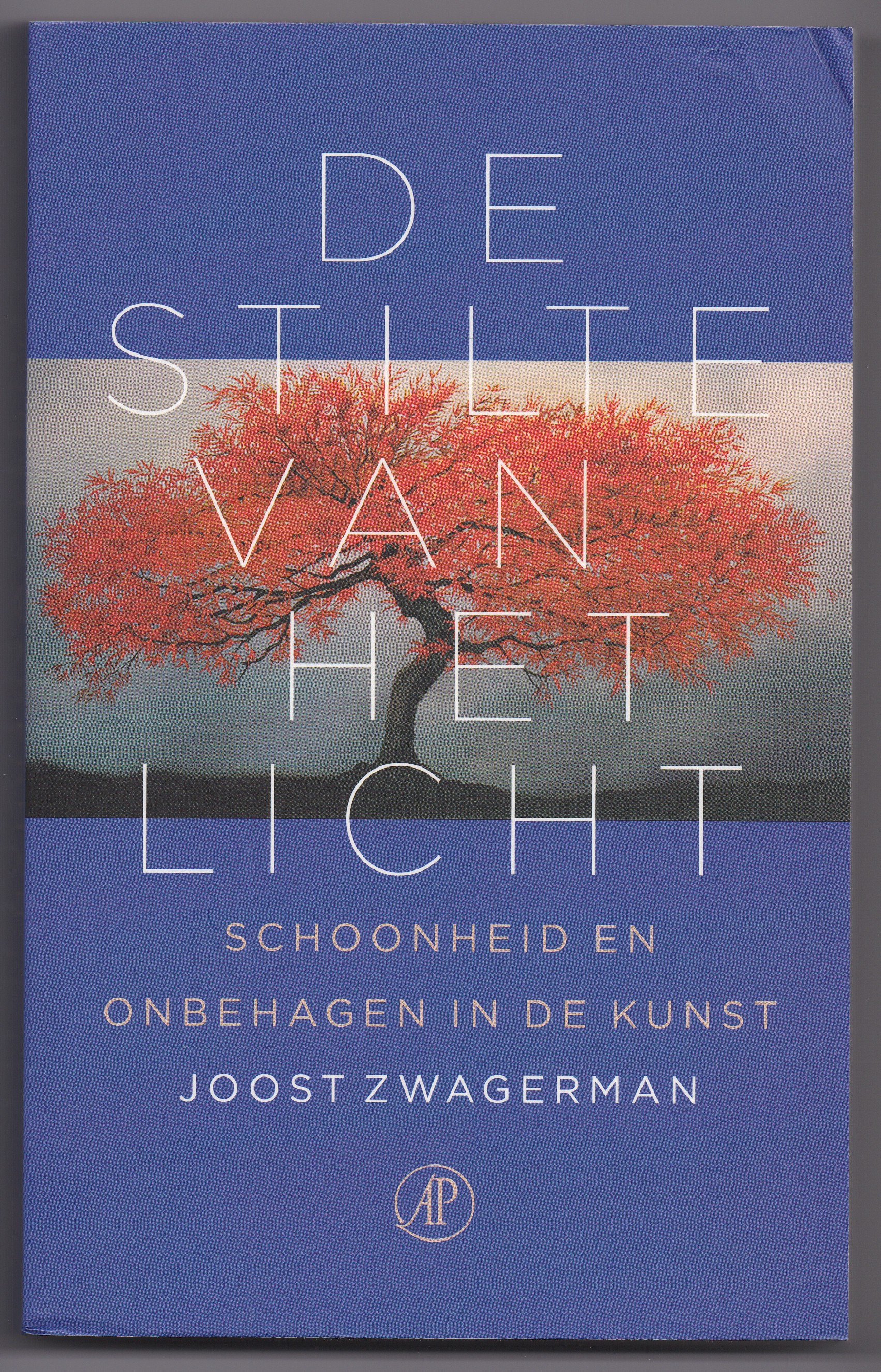Zwagerman, Joost - De stilte van het licht. Schoonheid en onbehagen in de kunst