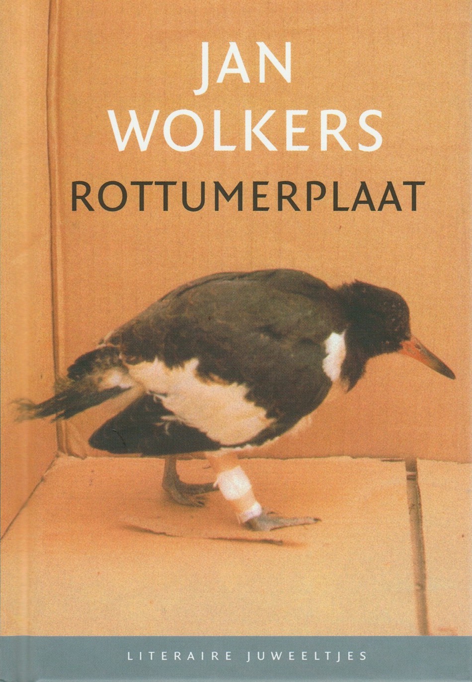 Wolkers, Jan -  Rottumerplaat